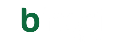 Binari Digital